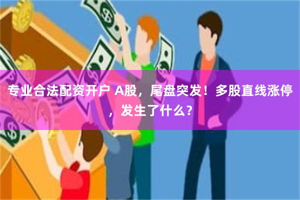 专业合法配资开户 A股，尾盘突发！多股直线涨停，发生了什么？