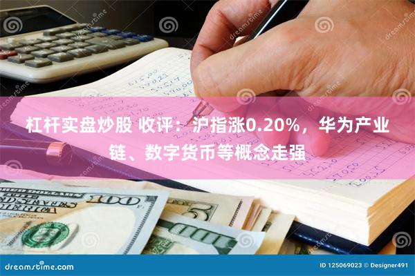 杠杆实盘炒股 收评：沪指涨0.20%，华为产业链、数字货