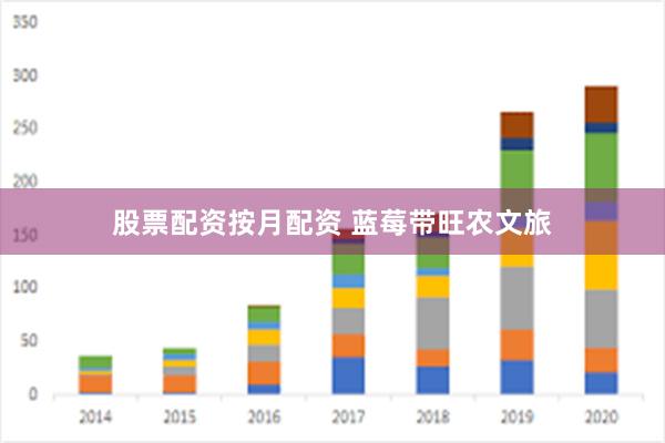 股票配资按月配资 蓝莓带旺农文旅