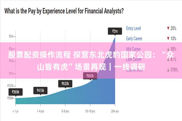 股票配资操作流程 探营东北虎豹国家公园：“众山皆有虎”场景再现｜一线调研