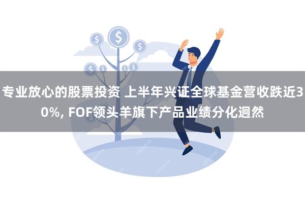 专业放心的股票投资 上半年兴证全球基金营收跌近30%, 