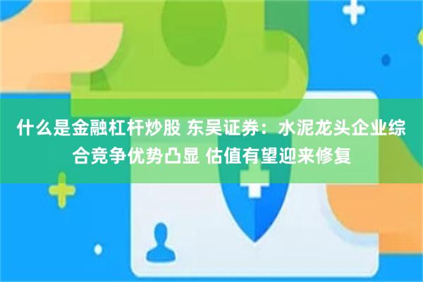 什么是金融杠杆炒股 东吴证券：水泥龙头企业综合竞争优势凸显 估值有望迎来修复