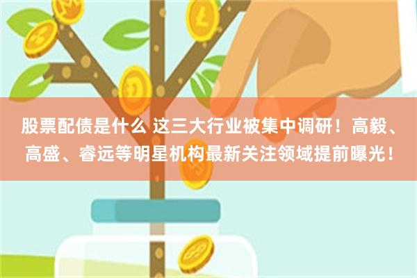 股票配债是什么 这三大行业被集中调研！高毅、高盛、睿远等明星机构最新关注领域提前曝光！