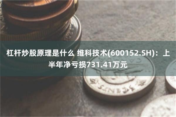 杠杆炒股原理是什么 维科技术(600152.SH)：上半年净亏损731.41万元