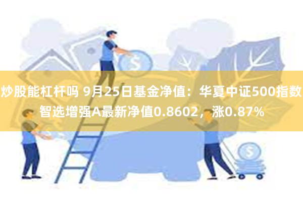 炒股能杠杆吗 9月25日基金净值：华夏中证500指数智选增强