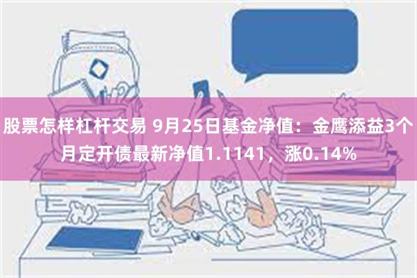 股票怎样杠杆交易 9月25日基金净值：金鹰添益3个月定开债最新净值1.1141，涨0.14%