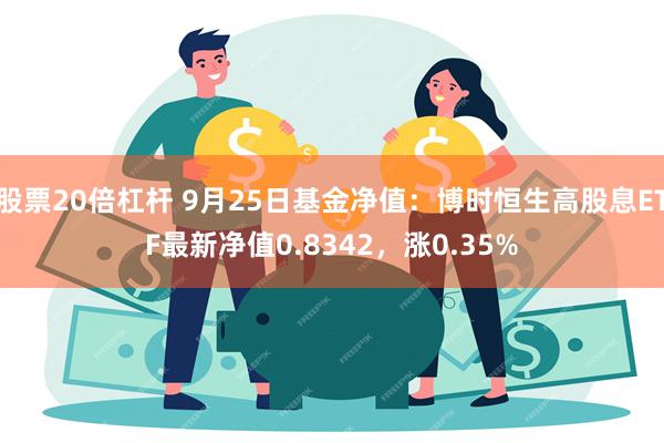 股票20倍杠杆 9月25日基金净值：博时恒生高股息ETF