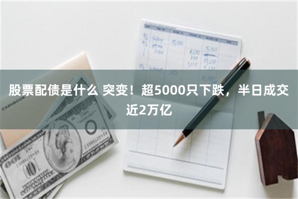 股票配债是什么 突变！超5000只下跌，半日成交近2万亿