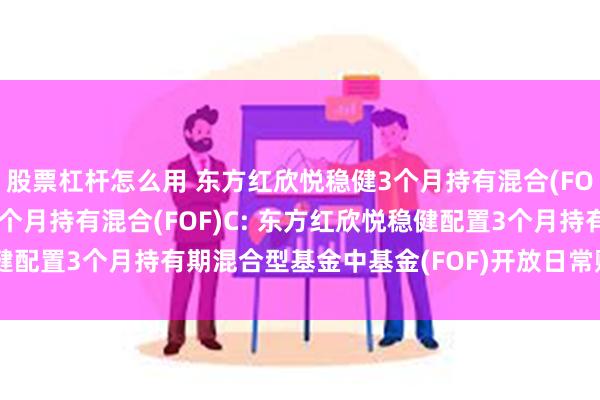 股票杠杆怎么用 东方红欣悦稳健3个月持有混合(FOF)A,东方红欣悦稳健3个月持有混合(FOF)C: 东方红欣悦稳健配置3个月持有期混合型基金中基金(FOF)开放日常赎回业务的公告