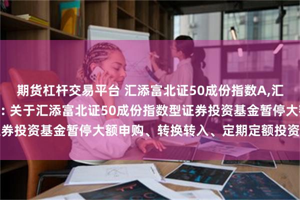 期货杠杆交易平台 汇添富北证50成份指数A,汇添富北证5