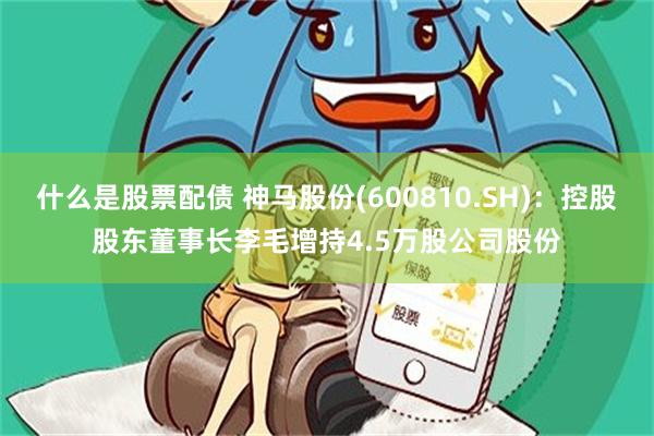 什么是股票配债 神马股份(600810.SH)：控股股东董事长李毛增持4.5万股公司股份