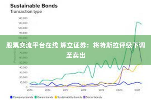 股票交流平台在线 辉立证券：将特斯拉评级下调至卖出