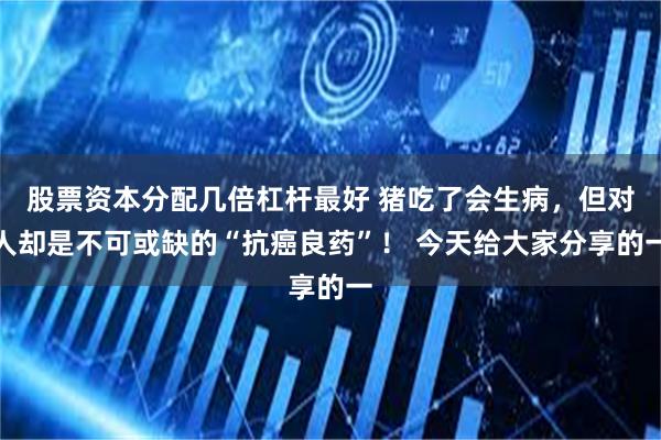 股票资本分配几倍杠杆最好 猪吃了会生病，但对人却是不可或缺的“抗癌良药”！ 今天给大家分享的一