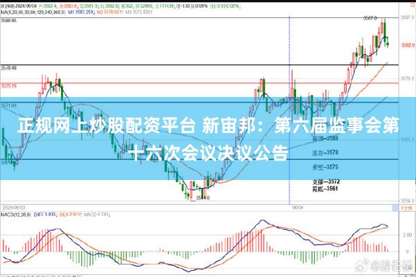 正规网上炒股配资平台 新宙邦：第六届监事会第十六次会议决议公告