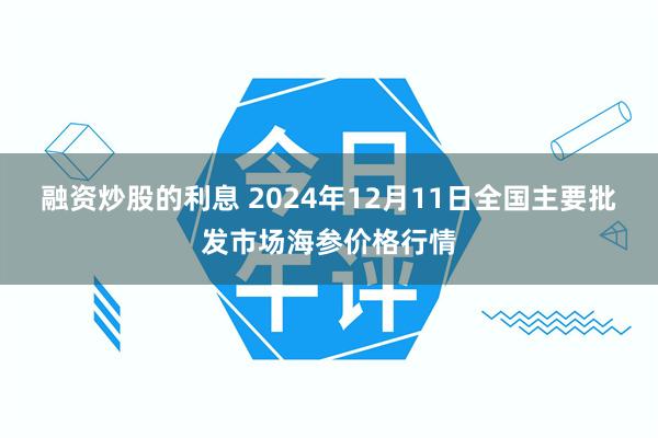 融资炒股的利息 2024年12月11日全国主要批发市场海参价格行情