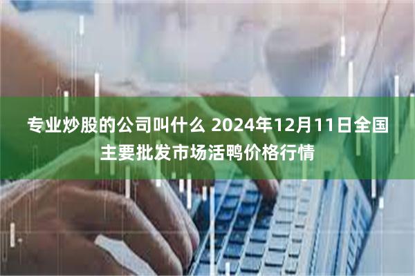 专业炒股的公司叫什么 2024年12月11日全国主要批发市场活鸭价格行情