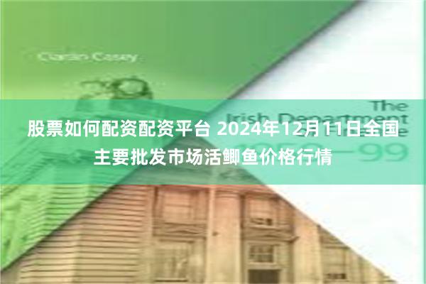 股票如何配资配资平台 2024年12月11日全国主要批发市场活鲫鱼价格行情