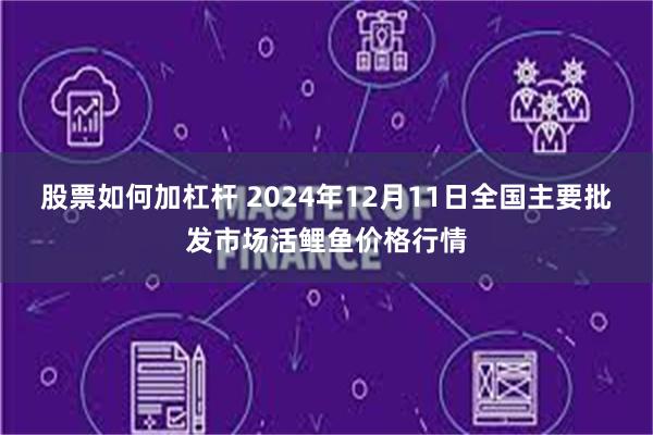 股票如何加杠杆 2024年12月11日全国主要批发市场活鲤鱼价格行情