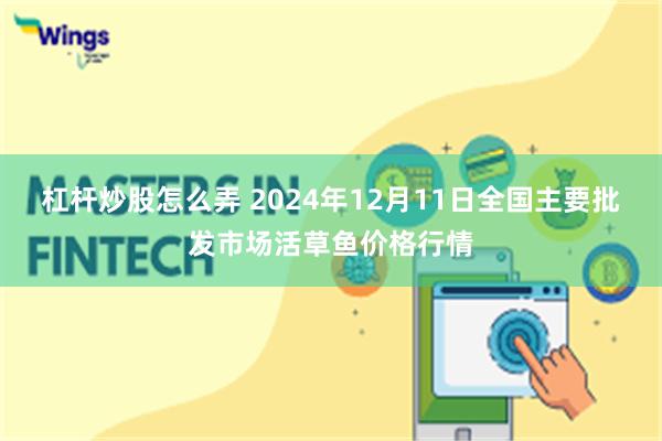 杠杆炒股怎么弄 2024年12月11日全国主要批发市场活草鱼价格行情