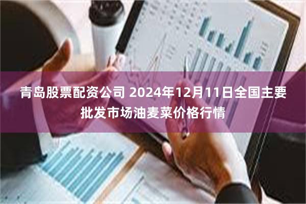 青岛股票配资公司 2024年12月11日全国主要批发市场油麦菜价格行情