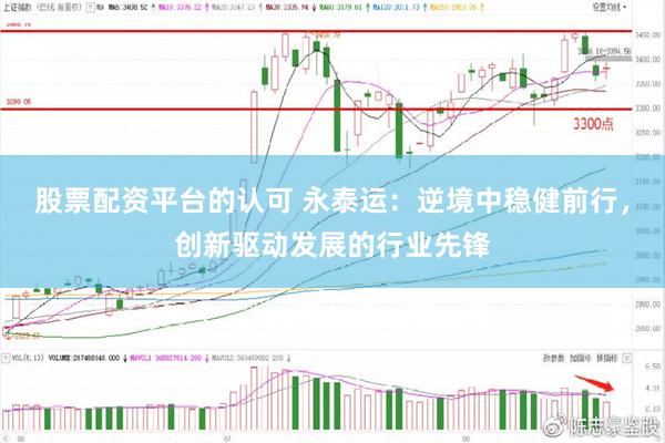 股票配资平台的认可 永泰运：逆境中稳健前行，创新驱动发展的行业先锋