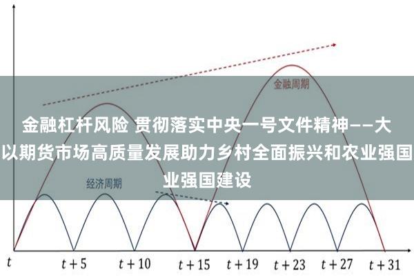 金融杠杆风险 贯彻落实中央一号文件精神——大商所以期货市场高质量发展助力乡村全面振兴和农业强国建设