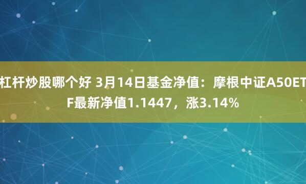 杠杆炒股哪个好 3月14日基金净值：摩根中证A50ETF最新净值1.1447，涨3.14%